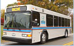 Picture of bus